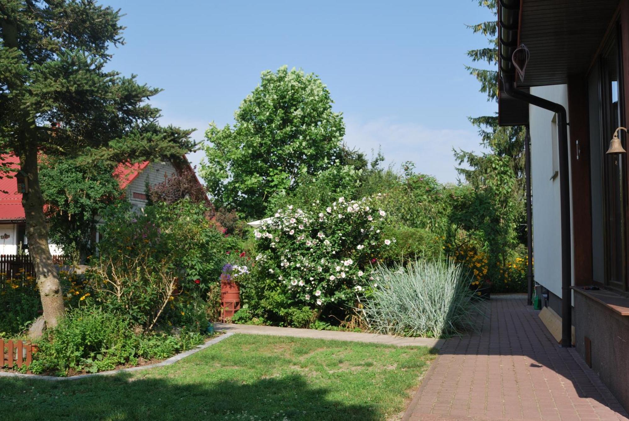 Agroturystyka Pod Czarna Sosna Bialy Lug Extérieur photo