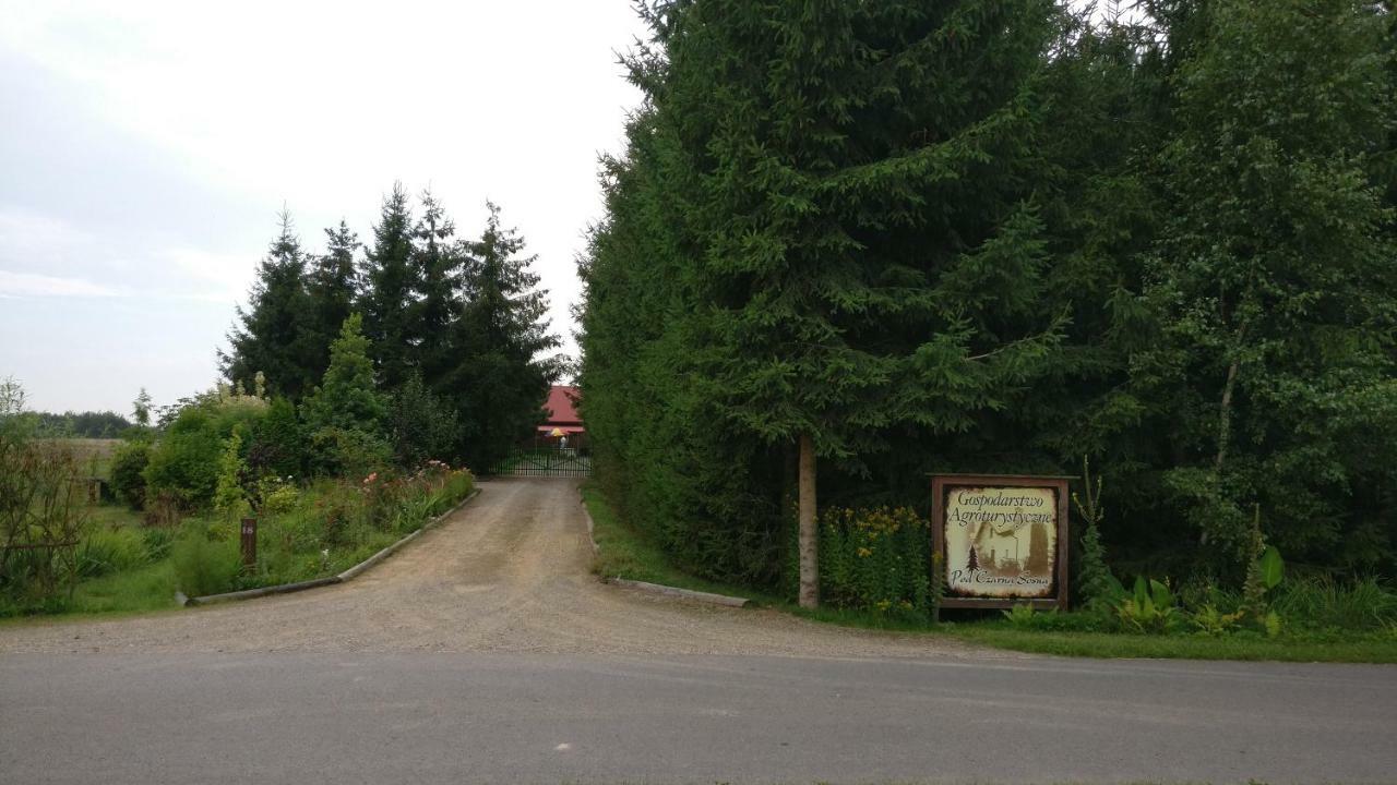 Agroturystyka Pod Czarna Sosna Bialy Lug Extérieur photo