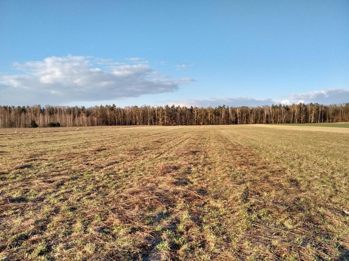 Agroturystyka Pod Czarna Sosna Bialy Lug Extérieur photo
