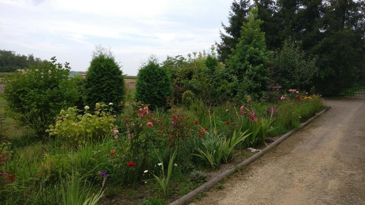 Agroturystyka Pod Czarna Sosna Bialy Lug Extérieur photo